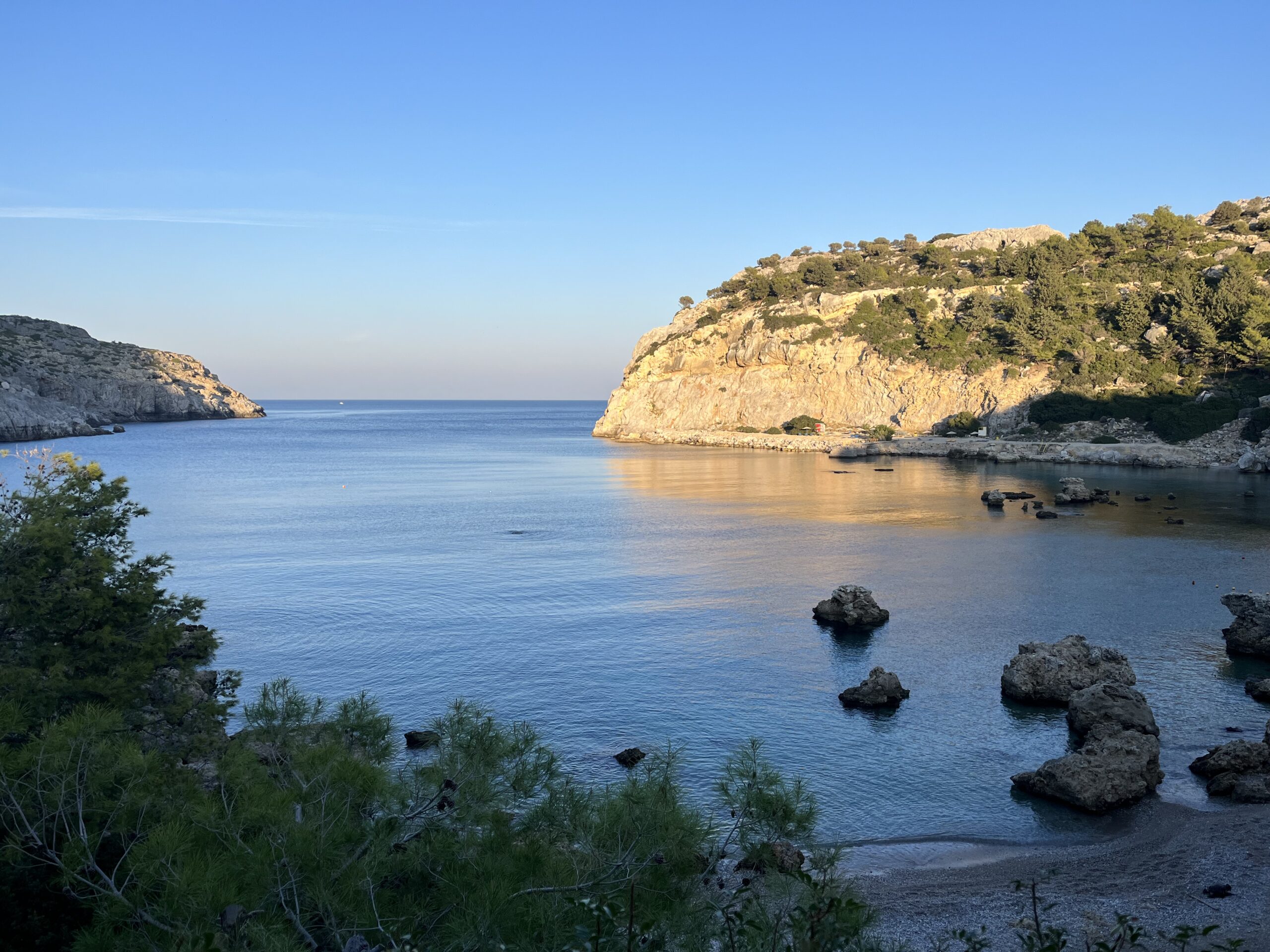 Agnieszka Callista – intro